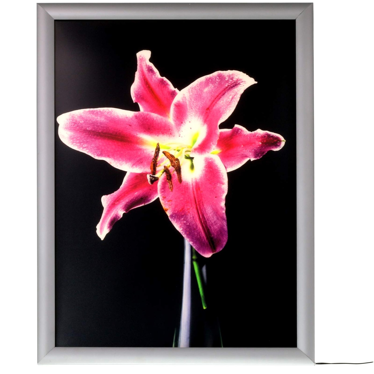 0. Foto LED Lichtkasten Leuchtrahmen Rahmen Posterrahmen beleuchtet (Größe: A3 (420 x 297 mm))